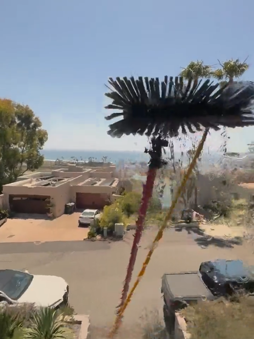 Supreme Power Wash